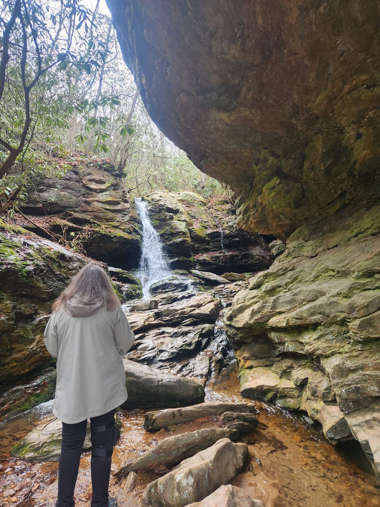 Los senderos conducen a vistas pintorescas de las montañas, afloramientos rocosos, cascadas e incluso una cueva en la montaña.