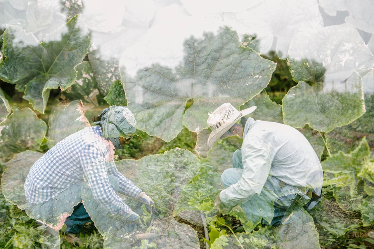 Una mirada doble al muro fronterizo