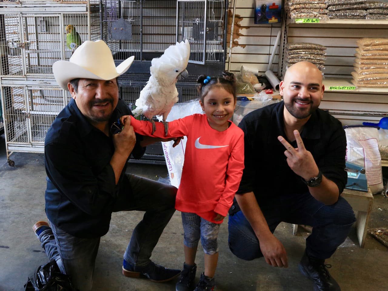 La fama de El Feo y la Gallina Vidente está en peligro, ya que esta jovencita demostró que les puede dar competencia. 
<br>
