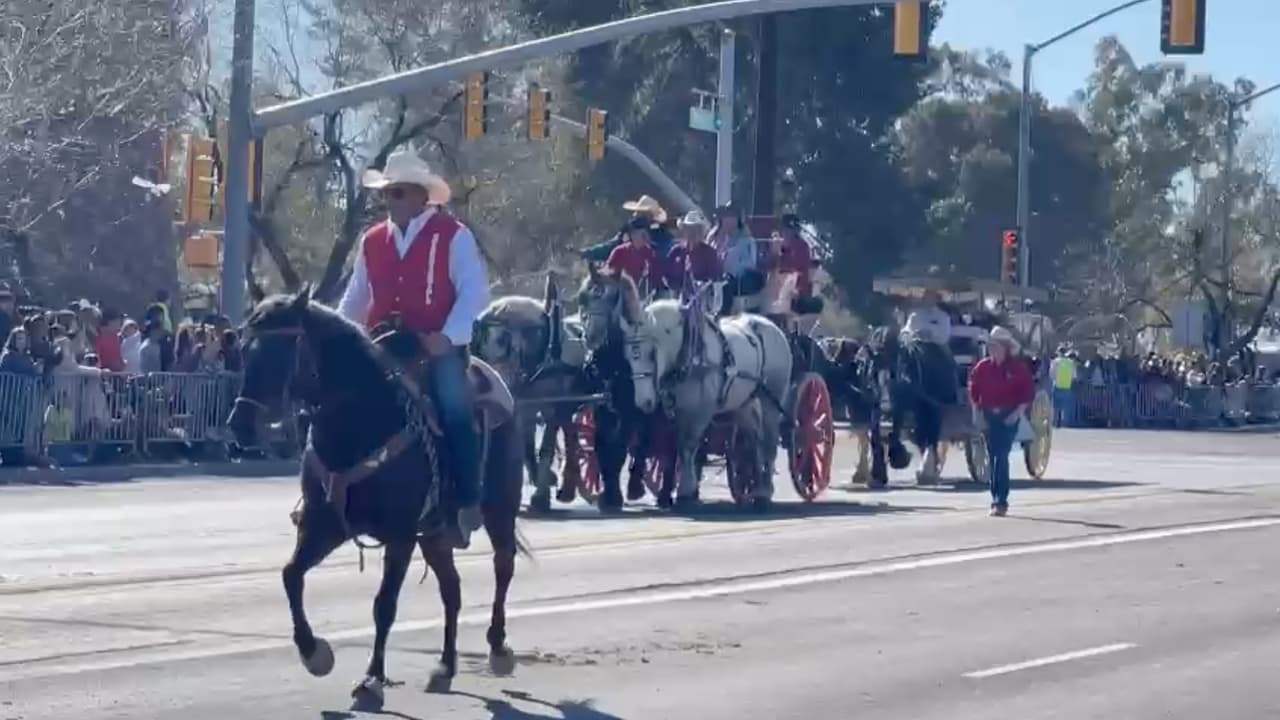 Este 22 de febrero se realizó el tradicional 
<b>Desfile del Rodeo de Tucson</b>: La Fiesta de los Vaqueros, que dea cuerdo con organizadores, en el desfile no motorizado más largo del país.