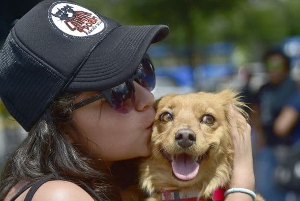 #12 Las mascotas piensan que “El Día de San Valentín” es todos los días, así que te mostrará amor incondicional los 365 días del año.