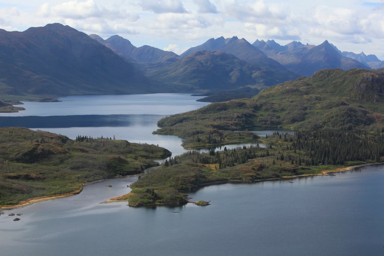 Pero ahora, Pebble Mine, un depósito masivo de oro y cobre, que vale potencialmente 500,000 millones de dólares, está poniendo a Bristol Bay en riesgo.
