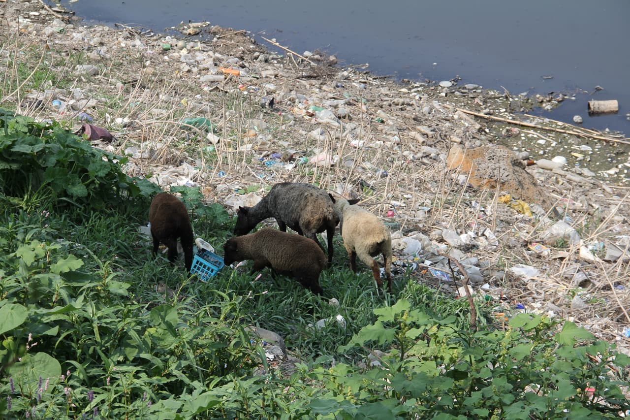 La contaminación del Río Tula ha generado problemas de salud en la población.