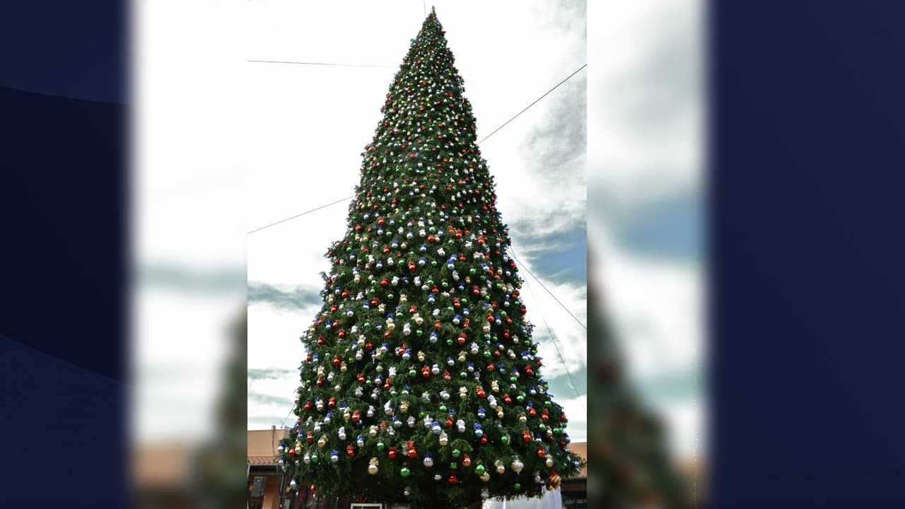 Se reporta que un equipo de 10 personas pasará dos semanas, y más de 120 horas, utilizando grúas móviles para decorar el árbol.
<br>