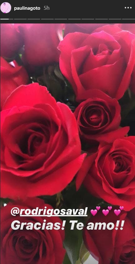 Además, la actriz le mostró a sus seguidores las rosas que su galán le mandó.