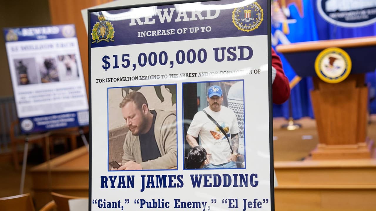 Tras el rastro de Ryan James Wedding, el exatleta olímpico ligado al Cártel de Sinaloa: Detienen a 10 y buscan a otros tres