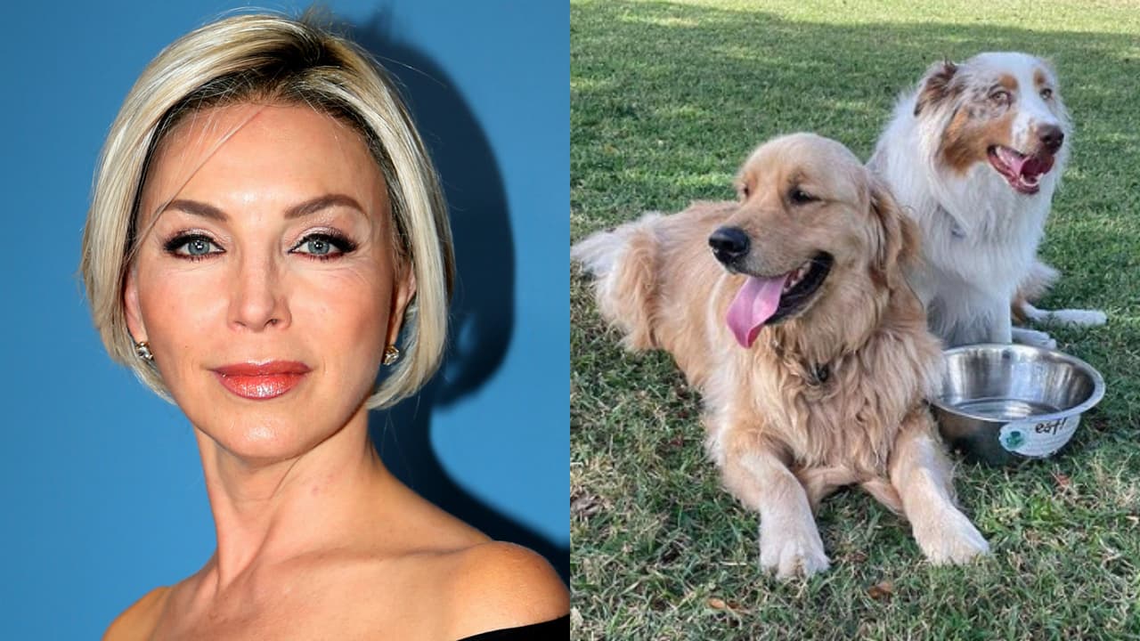 'Jackson', el golden retriever, es el nuevo "novio" de Laura Flores.
