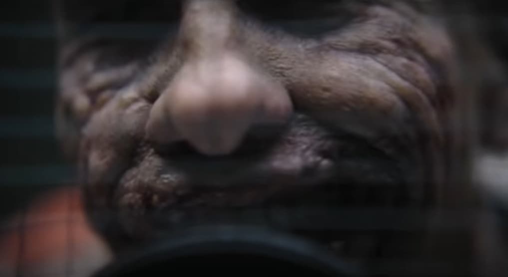 Escena eliminada de The Batman