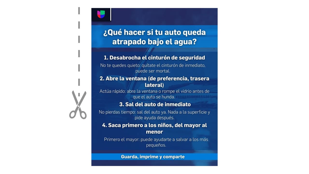 Guarda, imprime y comparte.