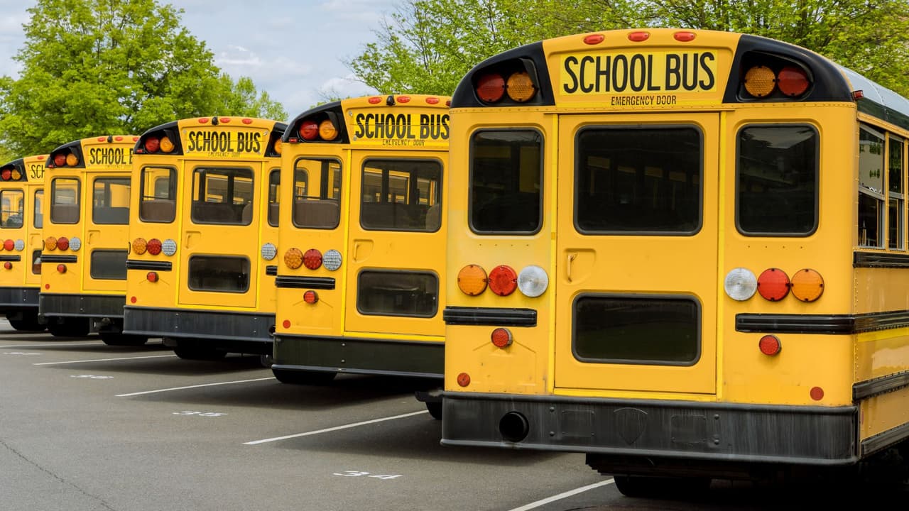 <h3 class="cms-H3-H3">Preguntas rápidas </h3>
<br>
<b>¿Todos los autobuses de Estados Unidos son amarillos? </b>No. El estándar nació como recomendación nacional, pero cada estado lo adopta. Texas lo aplica al pie de la letra. 
<br>
<b>¿Por qué algunos techos son blancos?</b> Para reflejar el calor y bajar la temperatura interior en verano. 
<br>
<b>¿Qué tan seguros son comparados con un auto?</b> Los estudiantes están hasta ocho veces más seguros viajando en un autobús escolar que en un auto particular. El mayor riesgo ocurre al cruzar la calle, no dentro del vehículo. Afirman las autoridades en Texas.