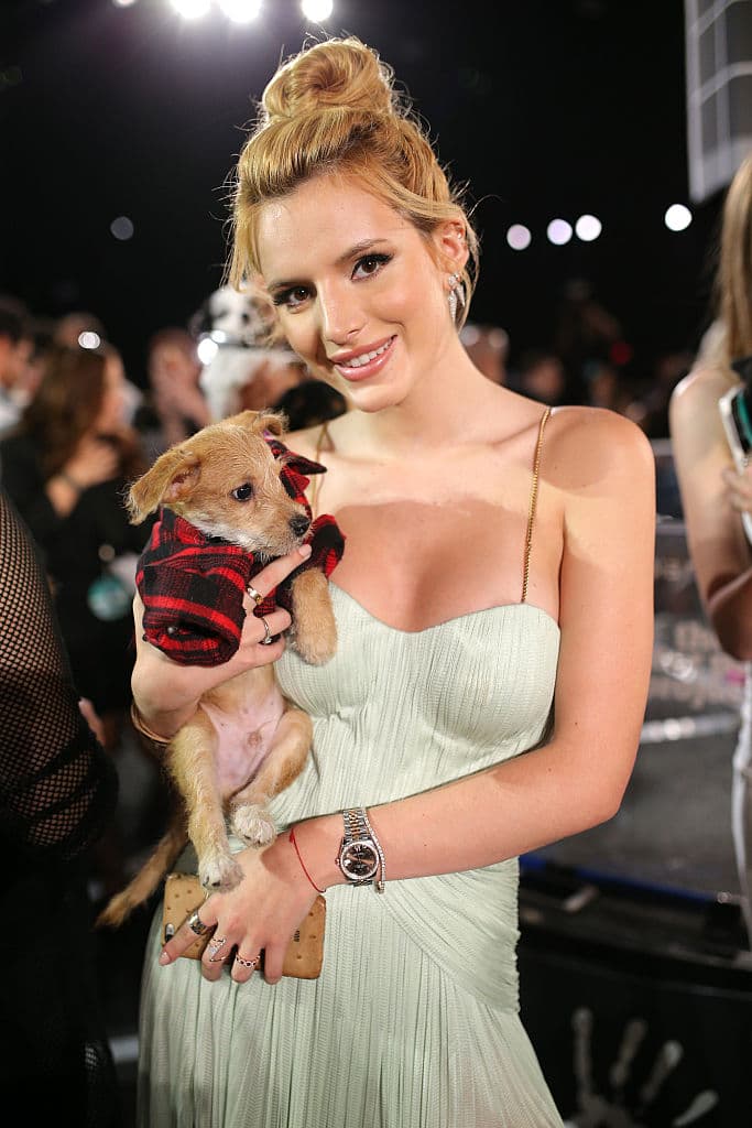 Ciertamente desde Burn so Bright (2018), su música ha dado un giro radical.