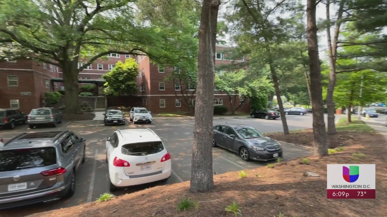 Tres jóvenes vandalizaron más de 20 automóviles en un vecindario de Arlington