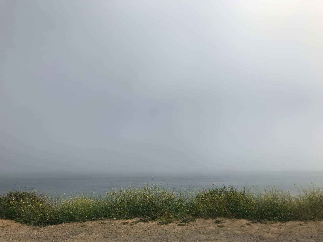 Las autoridades locales tratan de evitar a toda costa las aglomeraciones de personas, ya que esto puede representar un verdadero caldo de cultivo para una escalada de contagios del covid-19.