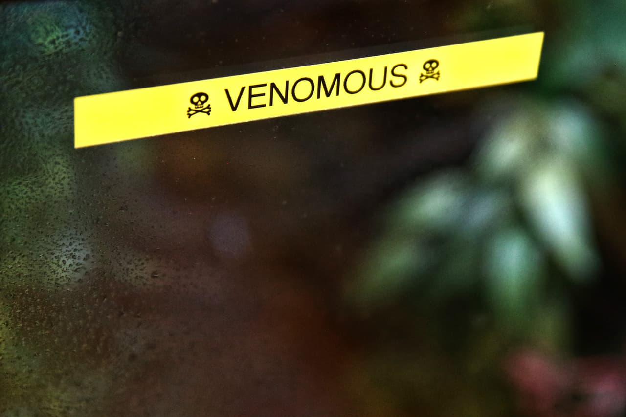 Celebraron 190 años rescatando a la fauna del mundo.