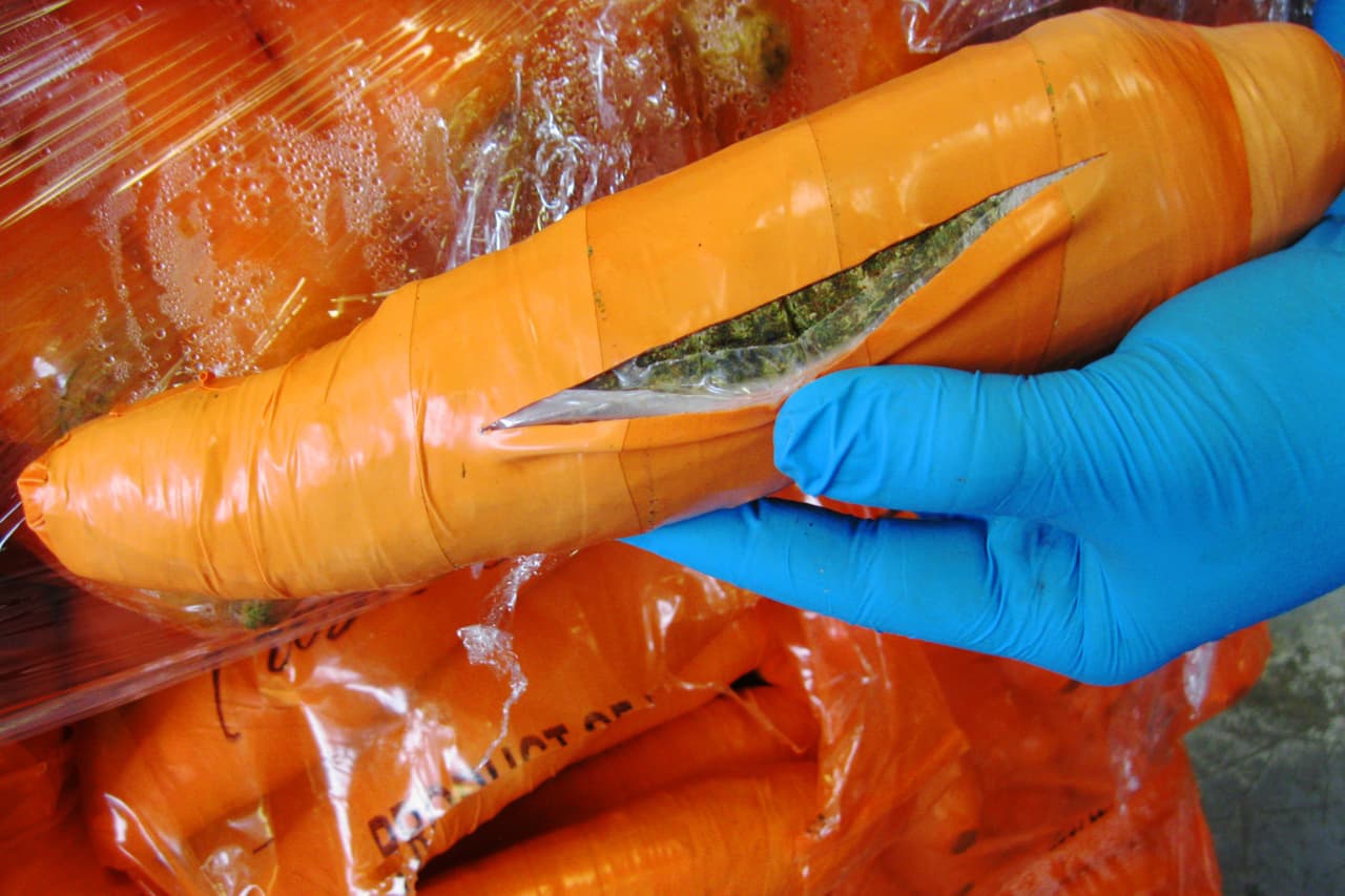 <b>Zanahorias de plástico</b>
<br>El ingenio va mucho más allá de artimañas tecnológicas. En realidad, la mayoría de las veces los narcotraficantes apelan a estrategias que resultan casi ingenuas. 
<a href="http://www.cnn.com/2016/01/13/us/marijuana-carrots-texas-border-patrol/index.html">Como este cargamento de 2,493 libras de falsas zanahorias</a> hechas de plástico que estaban rellenas con cientos de kilos de marihuana y que fueron decomisadas en la frontera en Texas en 2016. 
<br>