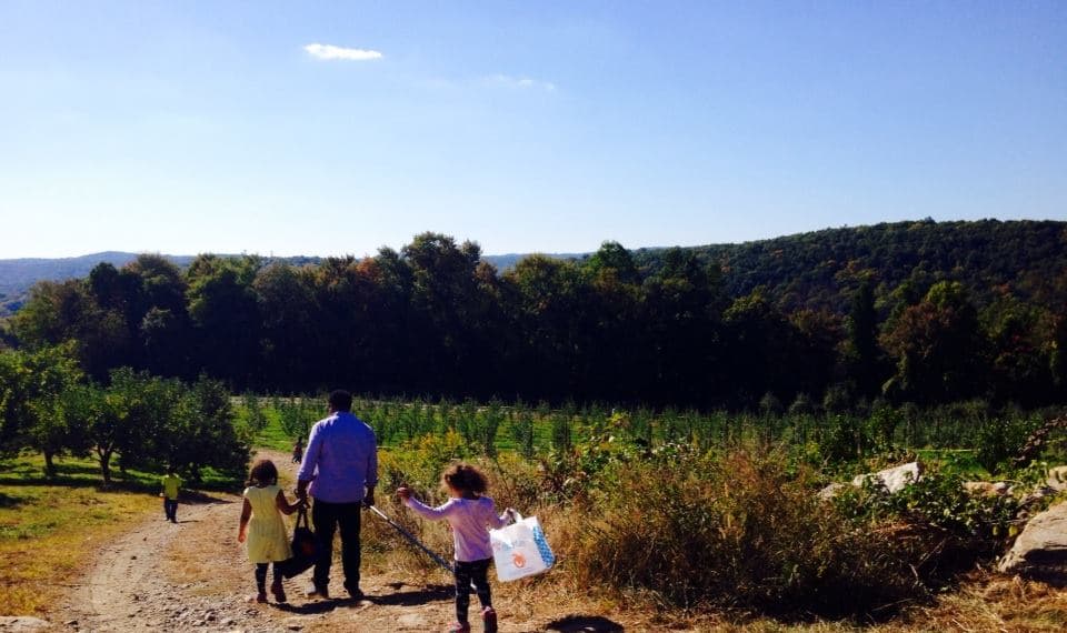 15 actividades de otoño para empezar a planificar desde ahora