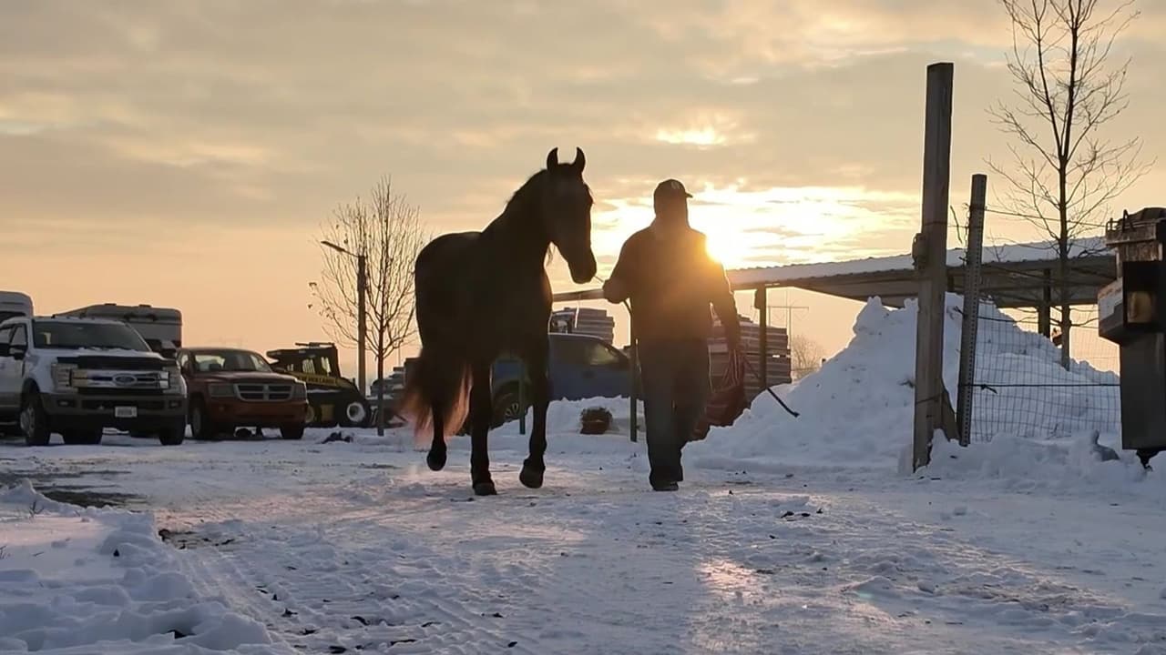 Como ocurre desde hace años, cientos de personas 
<b><a href="https://www.univision.com/local/chicago-wgbo/inician-las-celebraciones-de-la-virgen-de-guadalupe-en-chicago-con-cientos-de-peregrinos-fotos" target="_blank">salen a peregrinar para agradecer a la Virgen de Guadalupe</a></b> por un año más de vida, salud, trabajo, entre muchos otros motivos. Cada quien lleva su propia razón.
<br>
<br>En esta ocasión, jinetes del Rancho Verde, emprendieron su camino hacia el santuario.
<br>