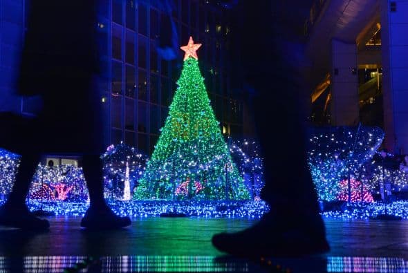 Un lindo árbol de navidad al centro, rodeado de cientos de luces azules y unas bolitas gigantes de color rosa hizo que brillara Starlight Garden.