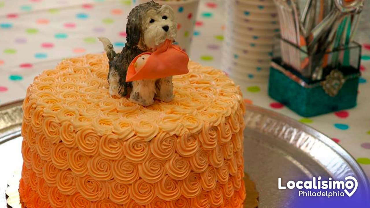 Deliciosos y cremosos: dónde encontrar los mejores pasteles del área de Filadelfia 