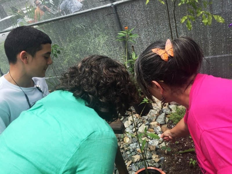 La iniciativa nació por el interés de los estudianes en unirse por un fin común. Estos reflexionaron sobre la violencia entre los jóvenes y lo efímero de la vida. Con el proyecto del mariposario, los estudiantes aprenden que al igual que las mariposas, todo tiene un ciclo, y que las mariposas tienen una vida corta y productiva y cumplen con un propósito.
