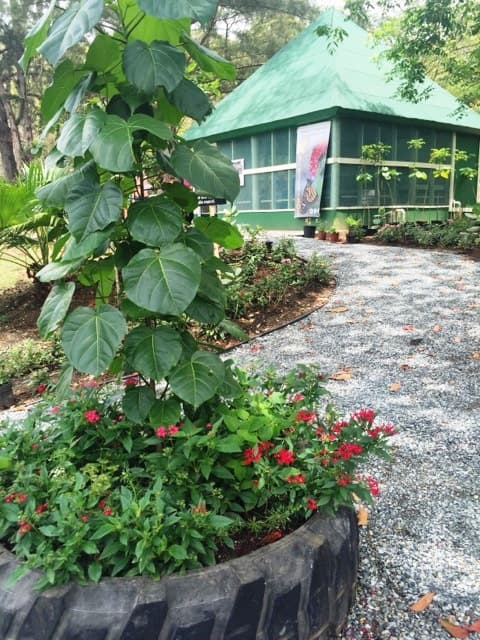 La iniciativa nació por el interés de los estudianes en unirse por un fin común. Estos reflexionaron sobre la violencia entre los jóvenes y lo efímero de la vida. Con el proyecto del mariposario, los estudiantes aprenden que al igual que las mariposas, todo tiene un ciclo, y que las mariposas tienen una vida corta y productiva y cumplen con un propósito.