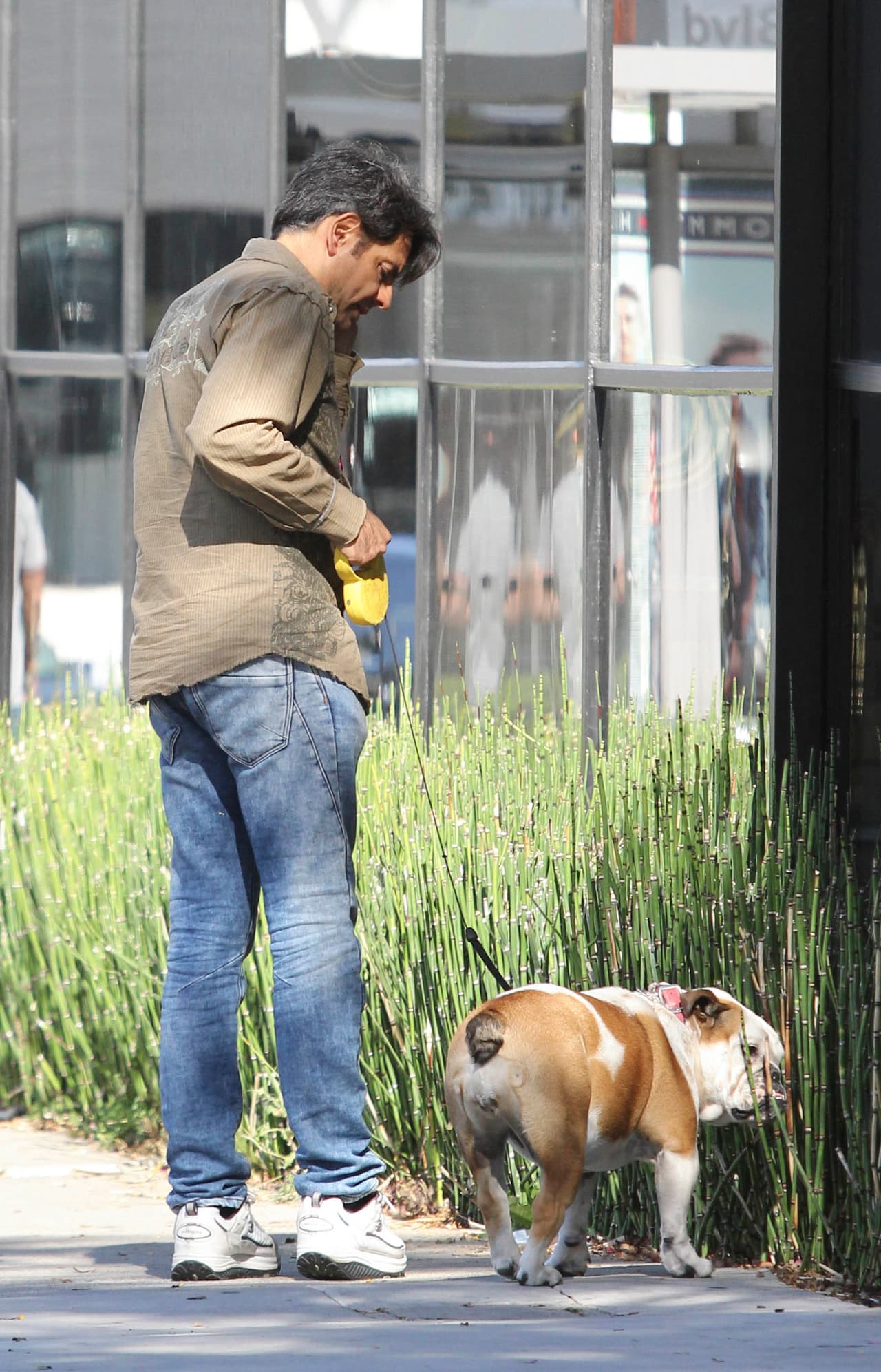 Estos son son muy divertidos cuando están juntos.