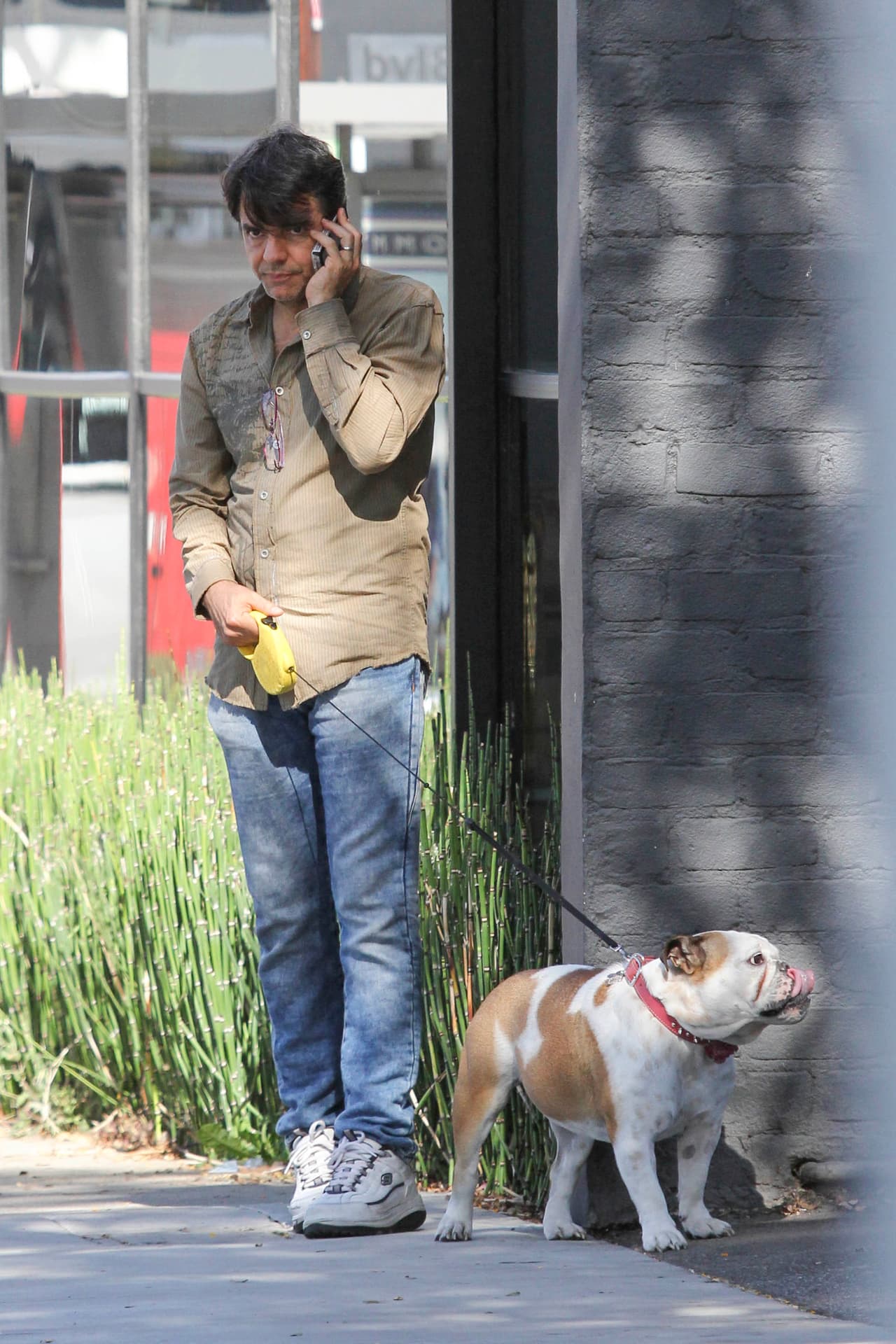 De acuerdo con algunos medios, recientemente incluso habló con una aerolínea para que permitieran que la bulldog subiera con él al avión.