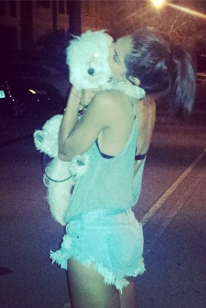 No hay nada más bello que el amor y cuidado de nuestras mascotas o cualquier animal.