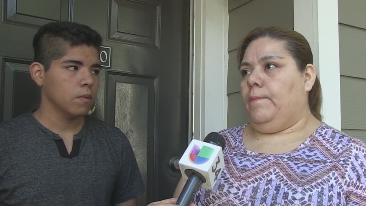 Familia de hispanos denuncia que su hijo fue agredido por dos perros pitbull
