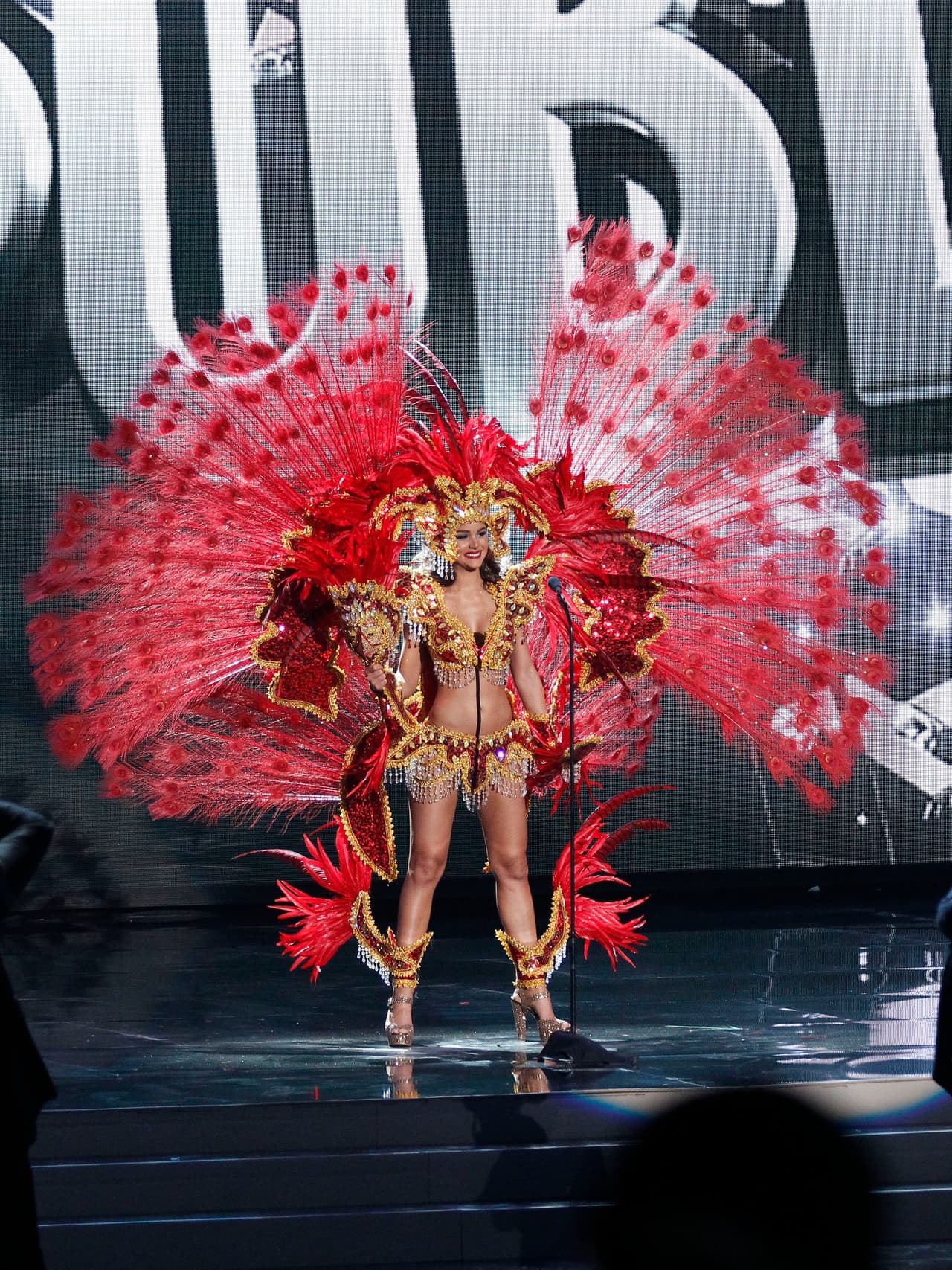 Miss República Dominicana, Clarissa Molina