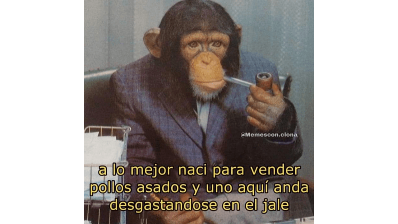 Memes para personas que quieren cambiar de trabajo