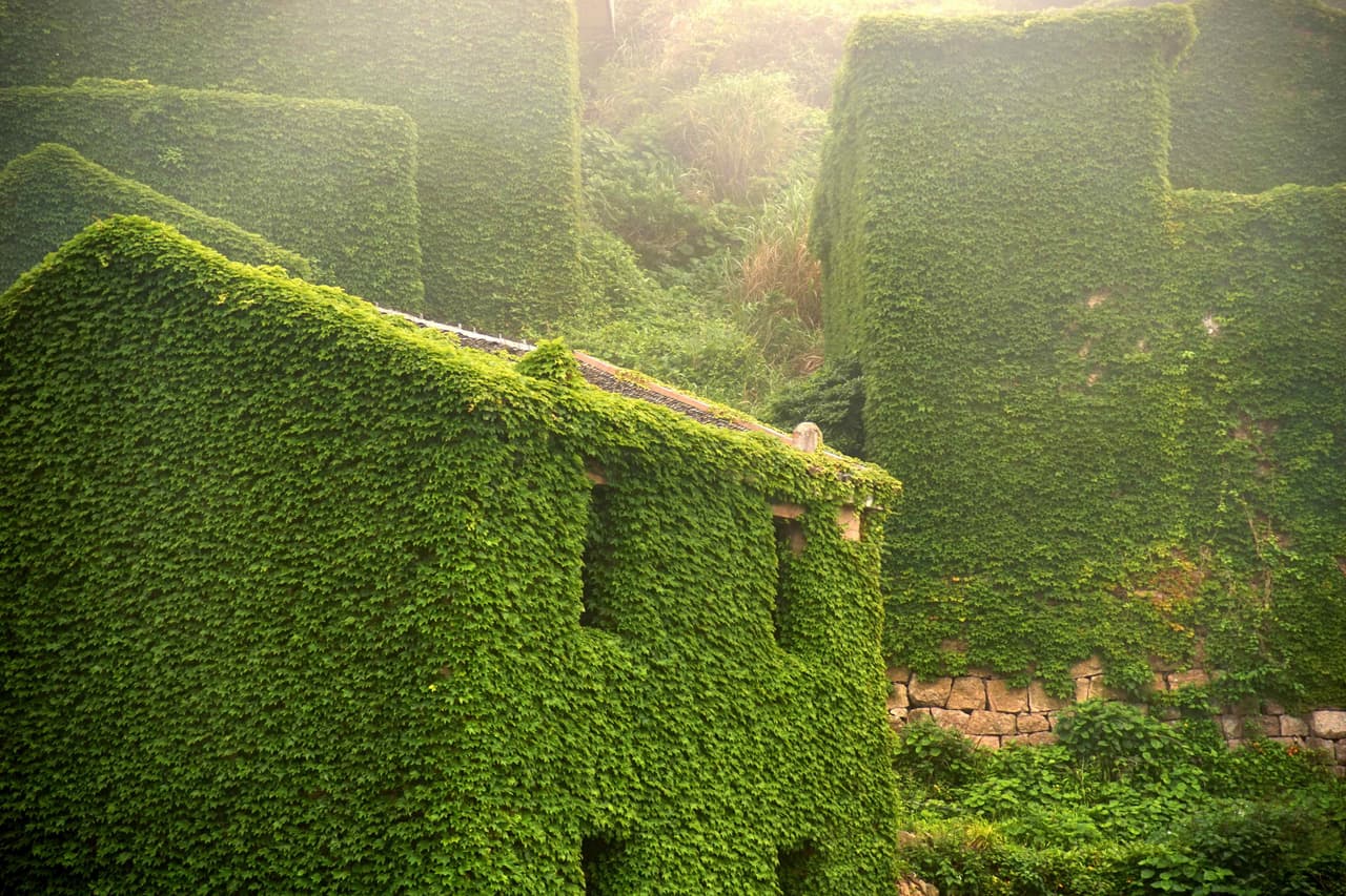 Aunque parece abandonado, de vez en cuando es visitado.