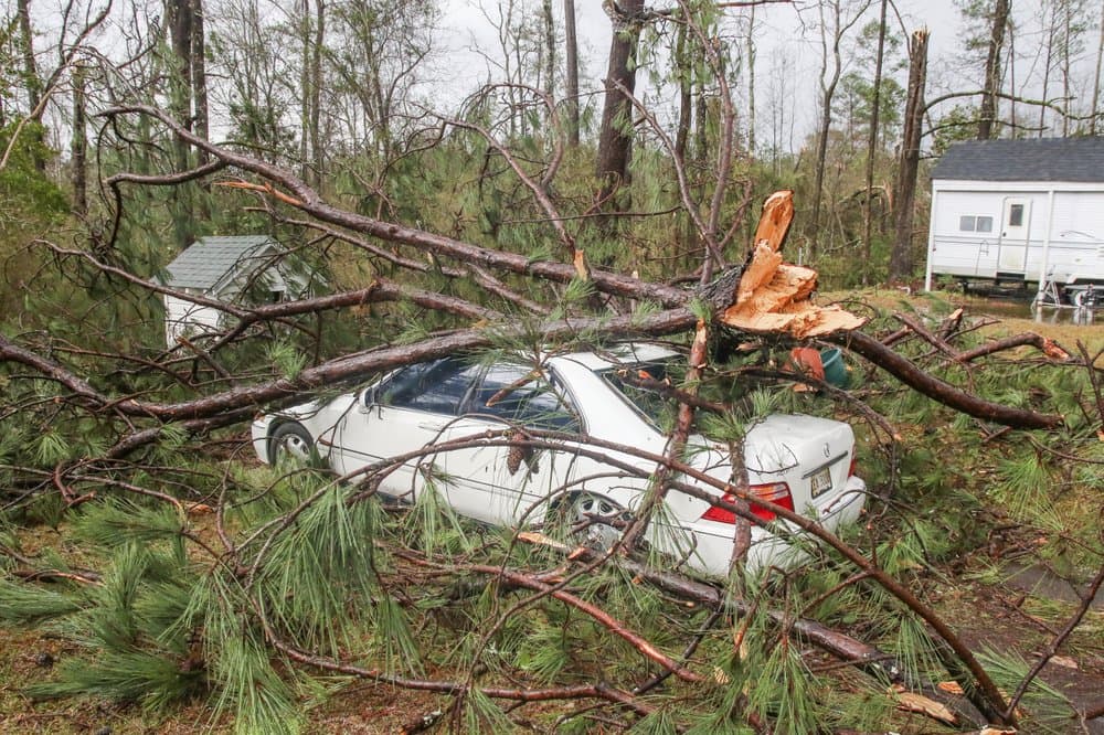 Las ramas de los árboles y los escombros cubren un automóvil cerca de una casa en la carretera 370 del condado en Enterprise, Mississippi.