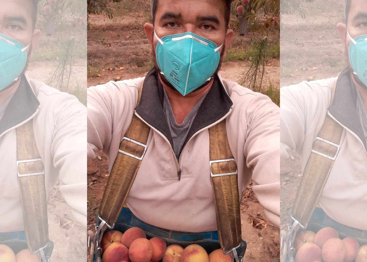 José Zavala es otro orgulloso campesino en la pizca del durazno en el condado de Fresno.