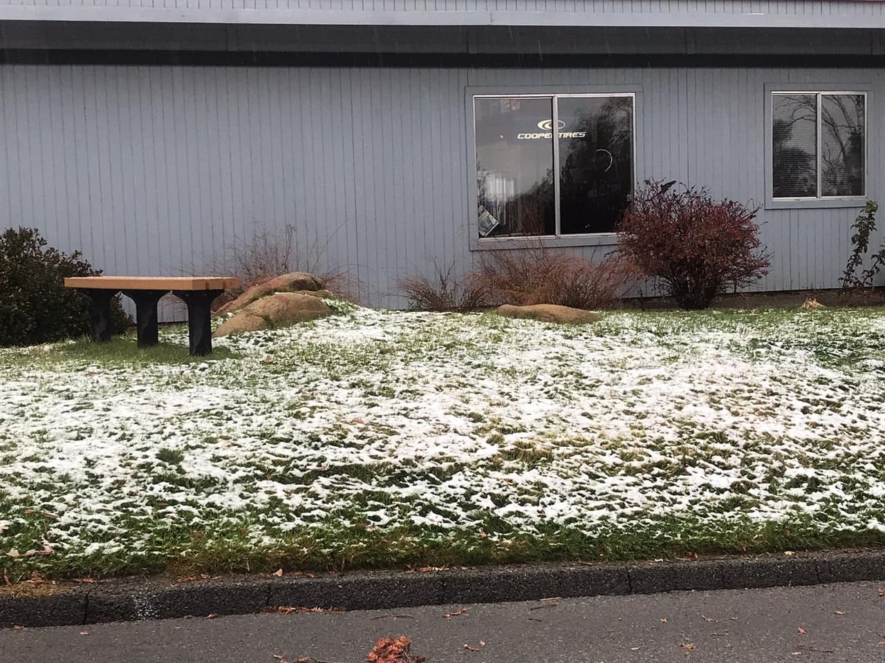 Vista de la nieve que llegó a los 2 mil pies de altura, en el área de Oakhurst, condado de Madera.