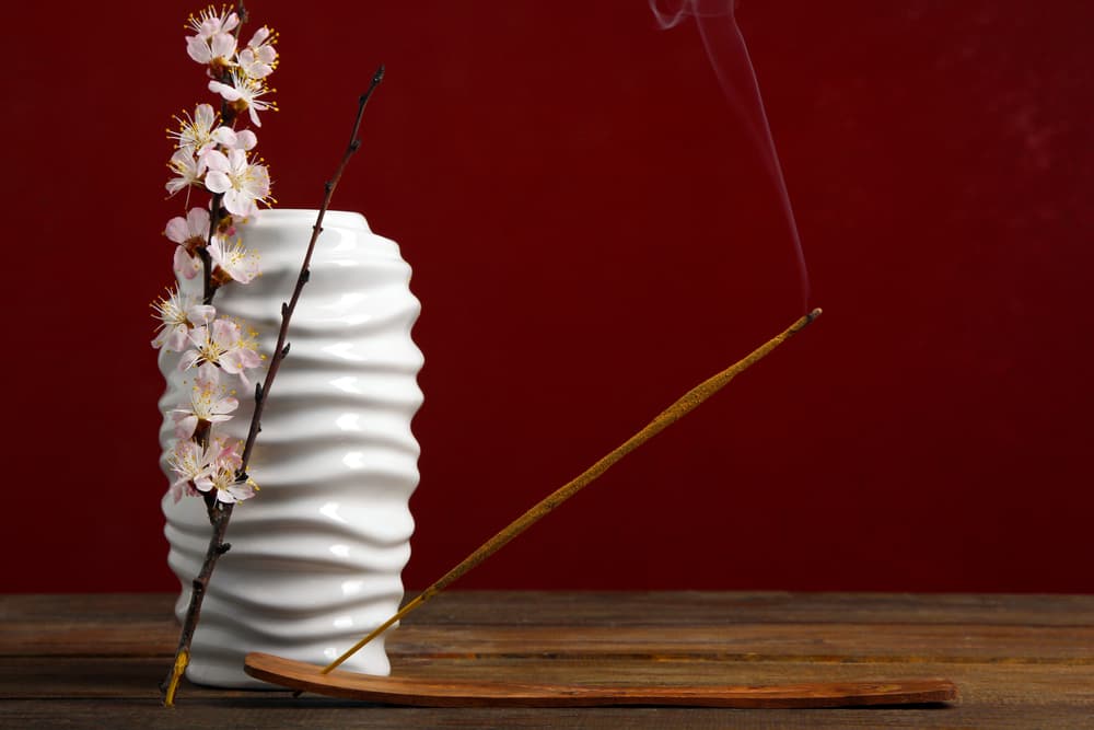 <b>La Liebre en el Año de la Rata de Metal (Los nacidos en los años lunares de 1939, 1951, 1963, 1975, 1987, 1999, 2011)</b>
<br>
<br>
<b><u>¿Cómo prepararte para recibir el Año de la Rata de Metal?</u></b>
<br>Una vez realizados los preparativos generales ese día, con prendas de color rojo, usarás tres palitos de incienso de gardenias o extractos florales similares que encenderás con una vela de color azul de Prusia o púrpura preferentemente y debajo de ella colocarás tres monedas diferentes como símbolo de atracción de la prosperidad.