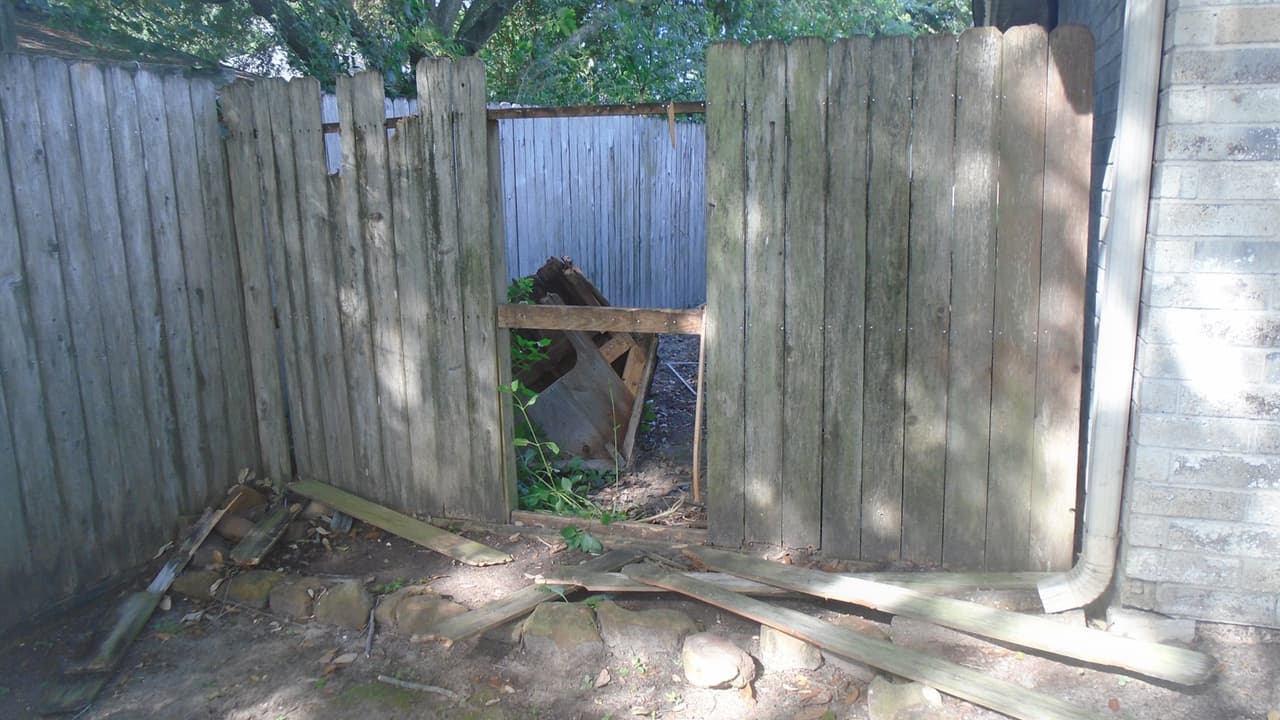 Golden salió de su casa y al darse cuenta de la presencia de los oficiales intentó huir en una camioneta, que también resultó ser
<b><a href="https://www.univision.com/local/houston-kxln/ladrones-han-aprovechado-la-orden-de-quedarse-en-casa-para-robar-vehiculos-en-houston-video">robada</a></b>.