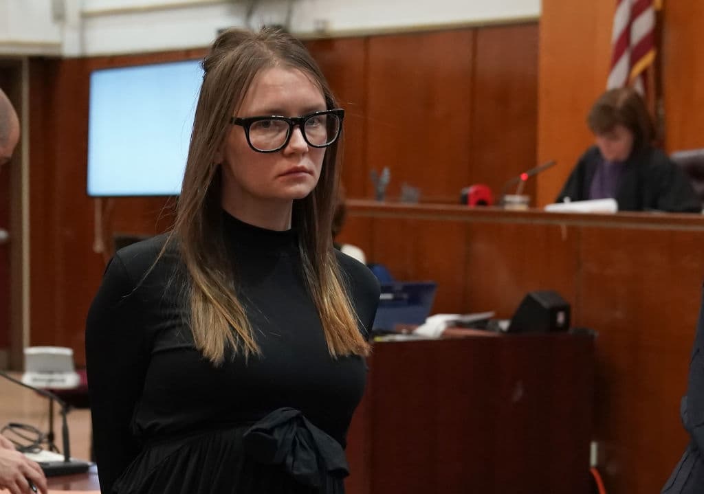 Anna Delvey usó el dinero que Netflix le dio al comprar los derechos de su historia para pagar por sus delitos.