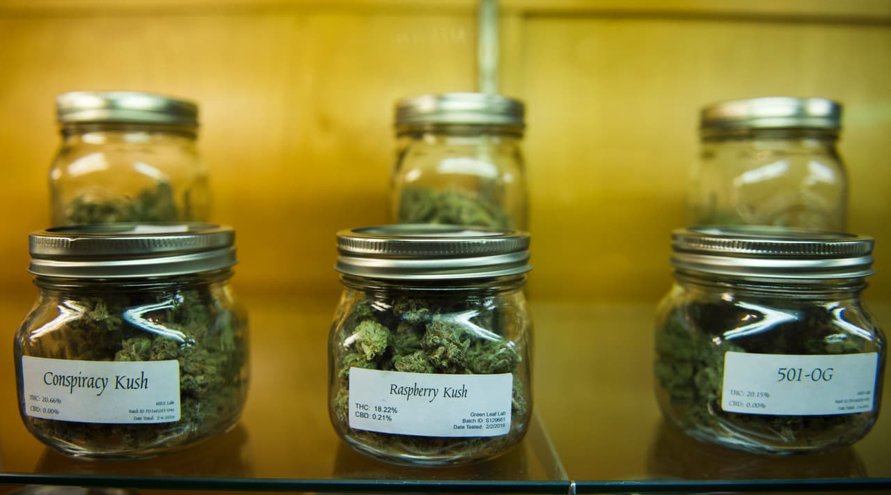 Crece el uso de marihuana con fines medicinales entre los habitantes de Utah