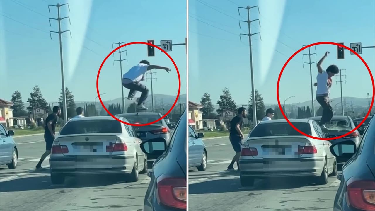 Destroza el vidrio de auto y lastima a perrito que iba en él: un caso de furia al volante