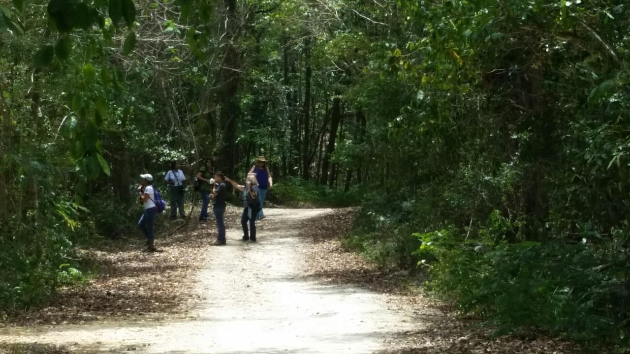 Celebrarán el sábado el Día Nacional de las Veredas en la isla