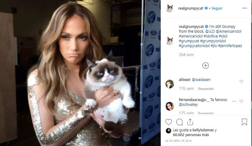 La gatita tuvo la oportunidad de visitar el estudio de 'American Idol' en abril de 2014, en esa ocasión 
<b><a href="https://www.instagram.com/p/nMpKfGE1Im/" target="_blank">Jennifer López</a> </b>no perdió oportunidad de tomarse una foto con Grumpy Cat, incluso la cantante posó como si estuviera molesta, igual que la felina.