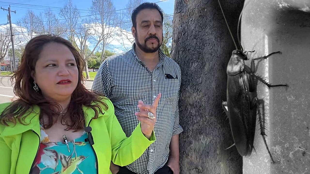 “Las cucarachas nos corrieron”: familia latina paga $6,000 de renta, depósito y a los dos días se van por una infestación