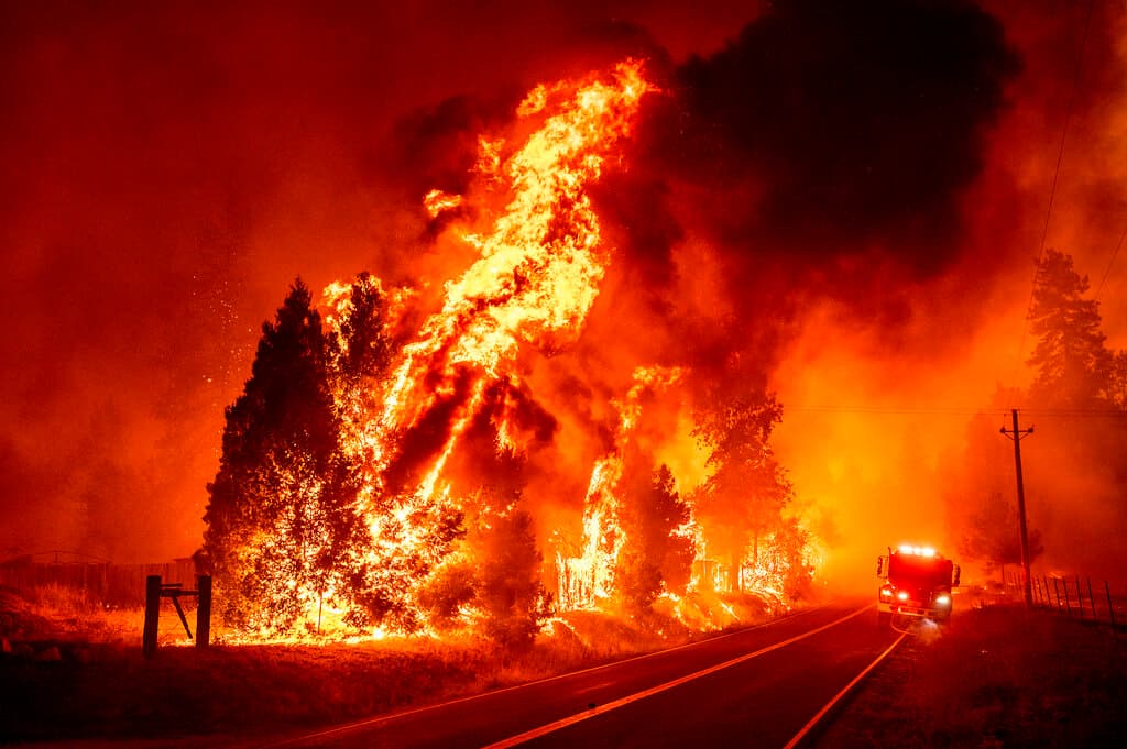 El incendio Oak se desencadenó mientras los bomberos avanzaban en la lucha contra 
<b>un fuego anterior, el incendio de Washburn</b>, que ardió hasta el borde de un bosque de secuoyas gigantes en la parte más meridional del Parque Nacional de Yosemite. El incendio, de 19 millas cuadradas, fue contenido en casi un 80% tras arder durante dos semanas y adentrarse en el Bosque Nacional de la Sierra.