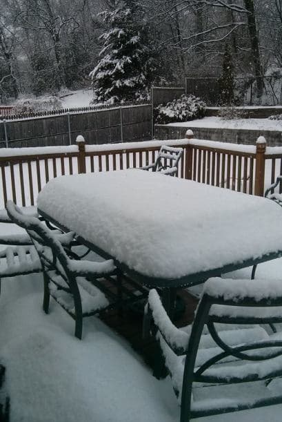 Una imagen más enviada por Sandra Garro desde Rhode Island.