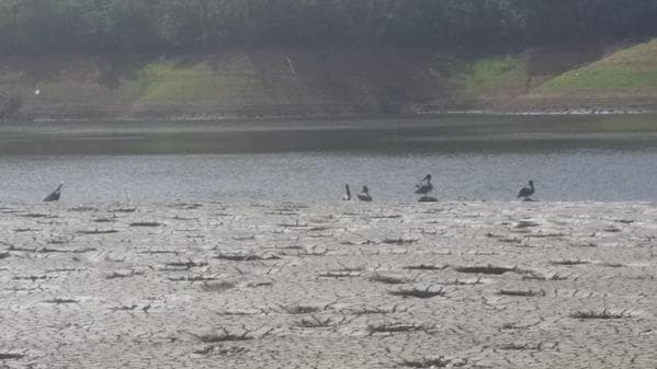 <b>Embalse Río Blanco </b>
<br>
<br>El embalse se encuentra en el nivel de alerta verde, que indica que no hay riesgo de racionamiento. Este embalse surte de agua a más de 29,000 clientes en los municipios de: Humacao, Yabucoa, Naguabo, Vieques y Culebra.