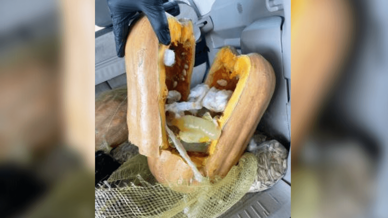 Encuentran metanfetaminas líquidas dentro de calabazas. Estas penas podrían enfrentar