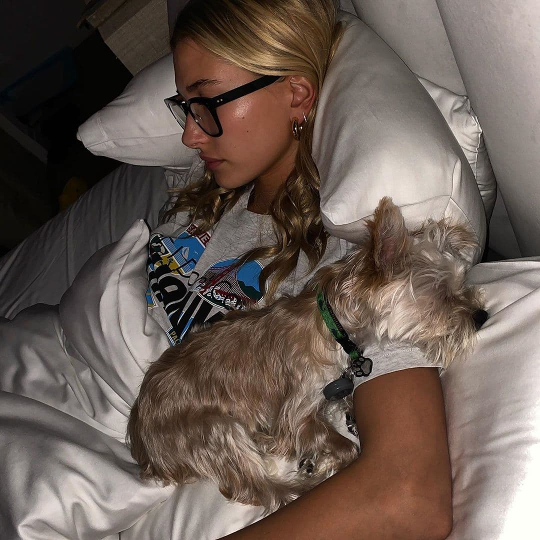 Tanto Hailey y Justin han demostrado ser muy cariñosos, pero no solo entre ellos, también con sus mascotas. Por el momento, forman una familia en conjunto con sus dos gatos y su perrito.