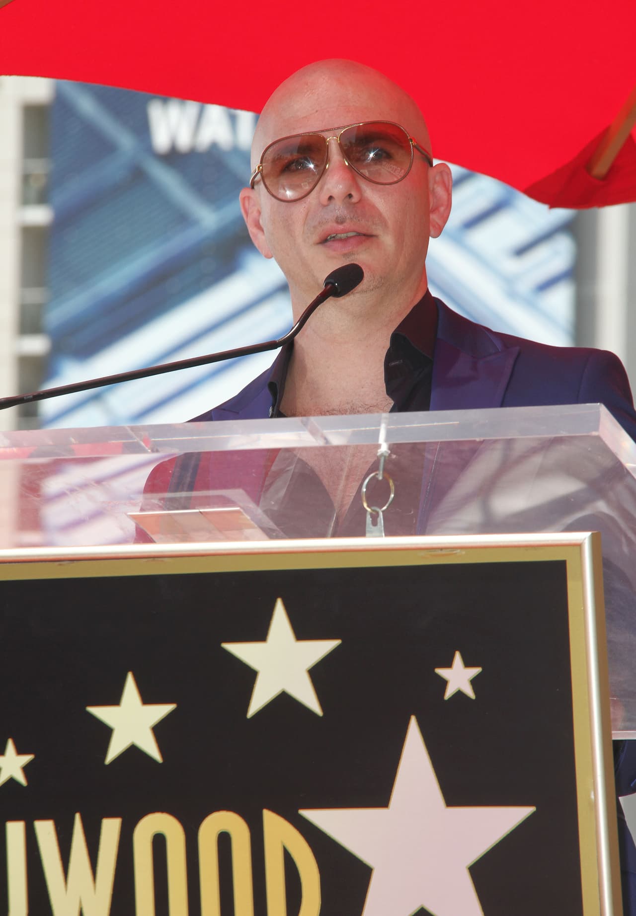 Pitbull también agradeció a una de las personas más importantes en su vida: su mamá.