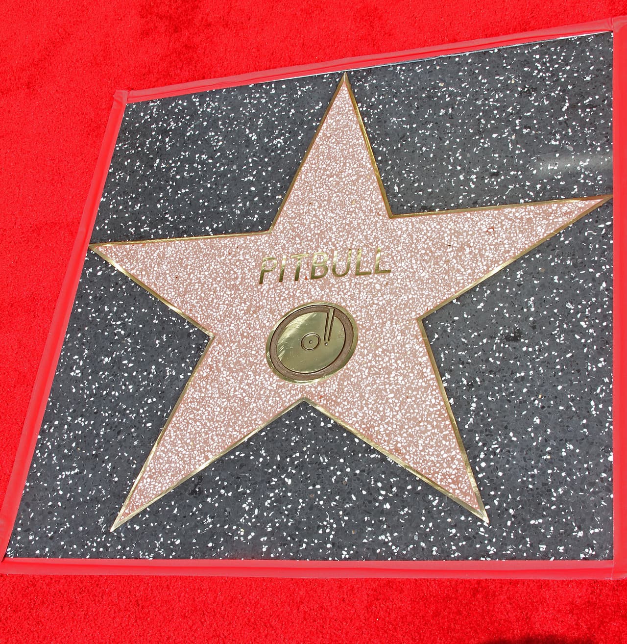 Otro vistazo a cómo se ve su develada estrella.